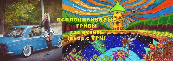 mdpv Пролетарск