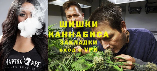 бошки Протвино