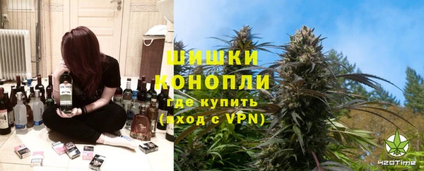 молекула духа Приозерск