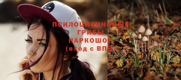 амф Абинск